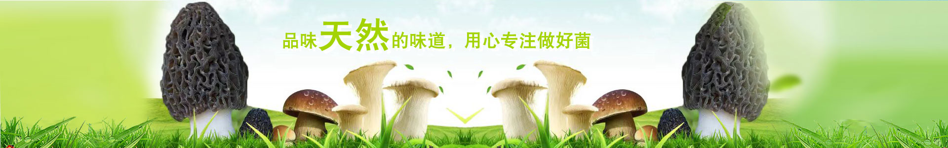 湖南君山万雨合业生物科技有限公司